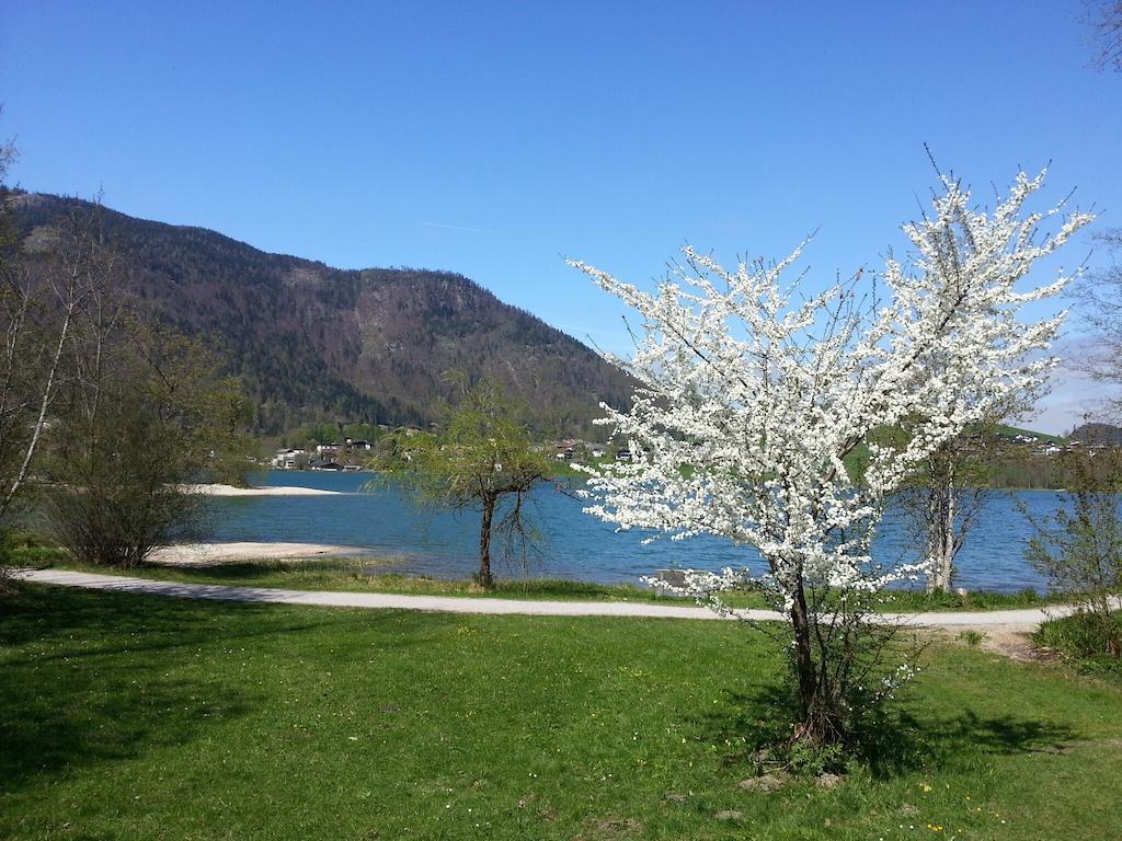 Buchauer-Tirol / Landhaus Buchauer Thiersee Eksteriør bilde